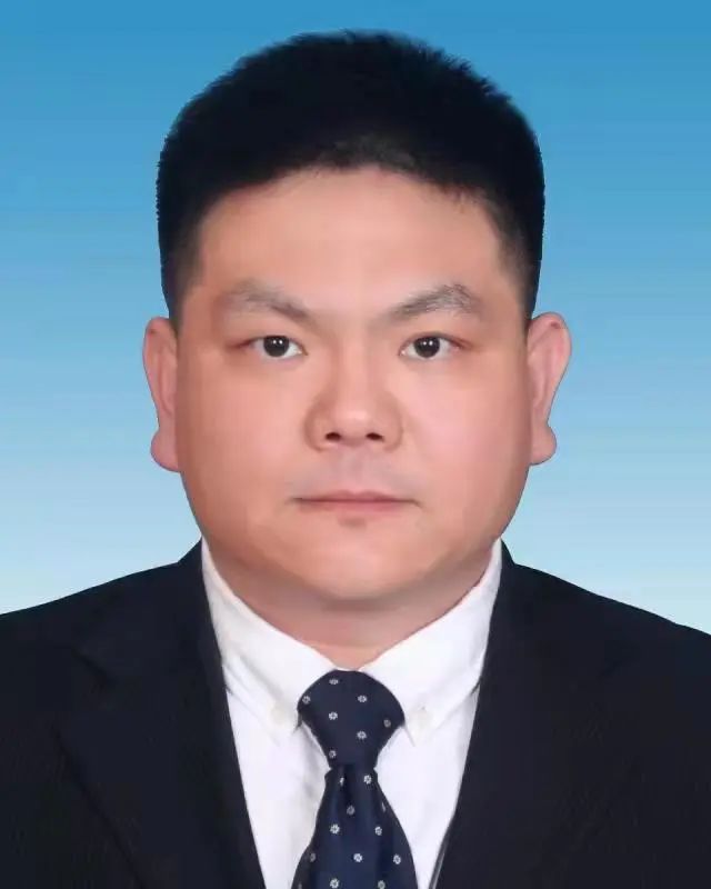 中电普瑞电力工程有限公司总工程师杨岳峰